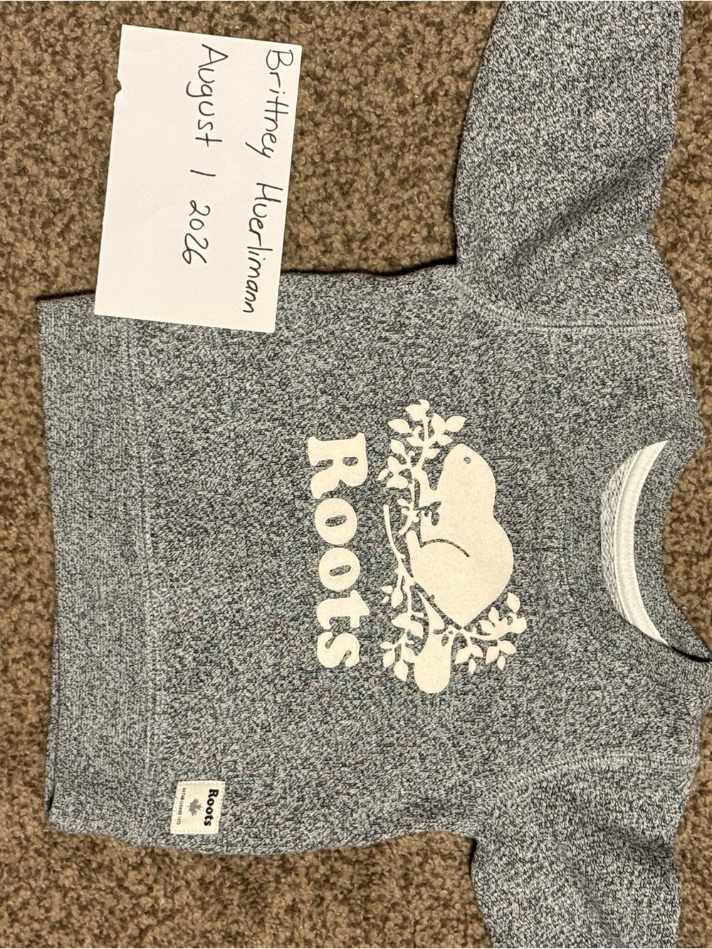 Roots Kids Heather Gray Logo Sweatshirt